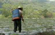 The Landscape Measures Approach: Rio Copan, Honduras